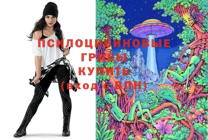 Псилоцибиновые грибы Psilocybe  Буинск 